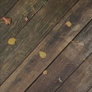 Meet your Posher, Jaedyn